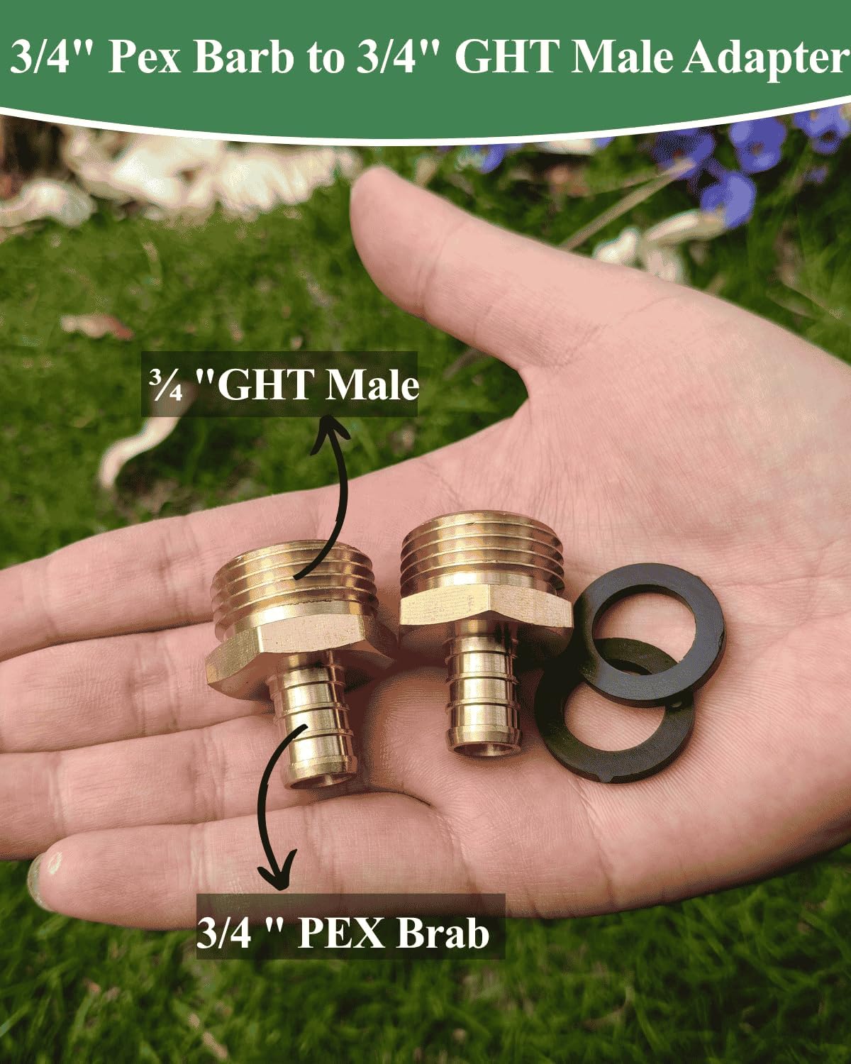 3/4"PEX to 3/4" Garden Hose Male Adapter for PEX-B/C Tubing (2 Pack,Brass) | 2 Pack Heavy-Duty Brass Leak-Proof
