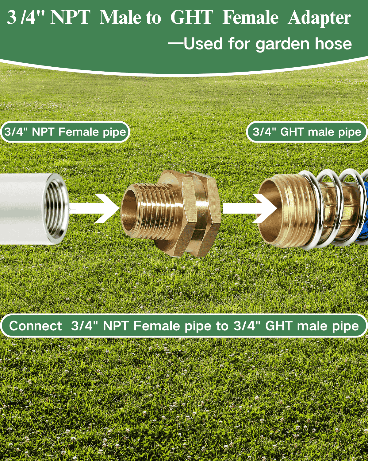 3/4" GHT Female to 3/4" NPT Male